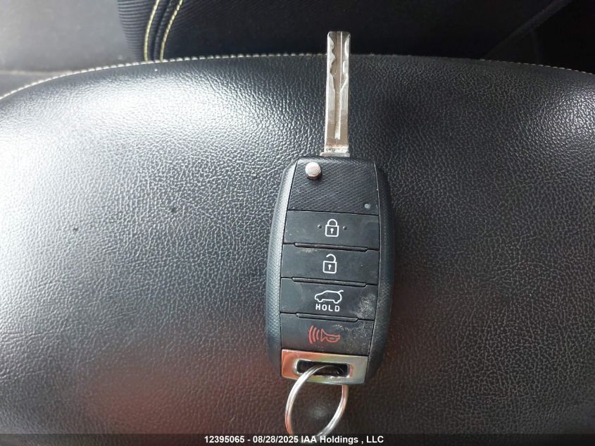 2014 Kia Soul Ex/Ex+/Ex+ Eco VIN: KNDJP3A53E7045248 Lot: 12395065