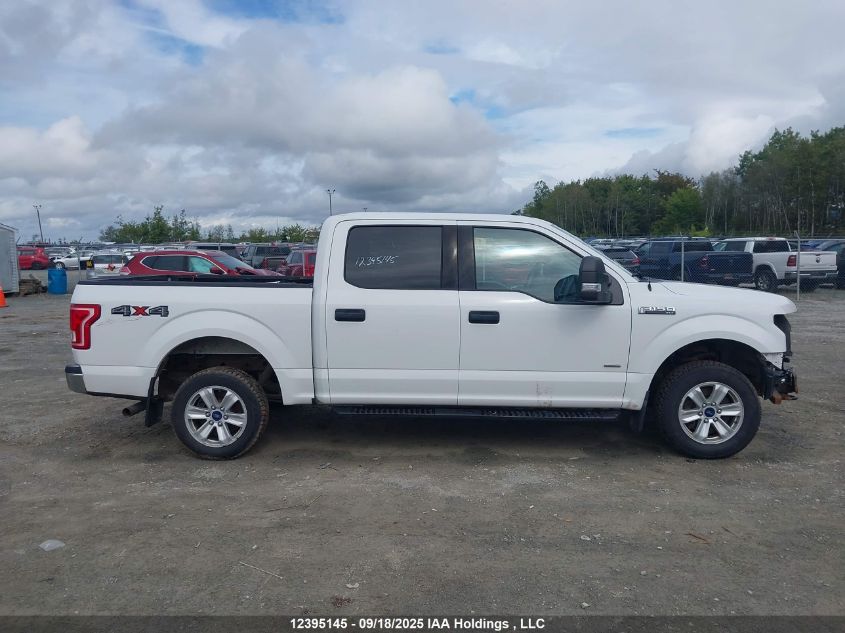 2017 Ford F-150 Xlt VIN: 1FTEW1EG3HFB55716 Lot: 12395145