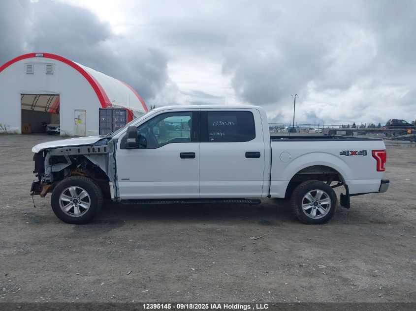 2017 Ford F-150 Xlt VIN: 1FTEW1EG3HFB55716 Lot: 12395145