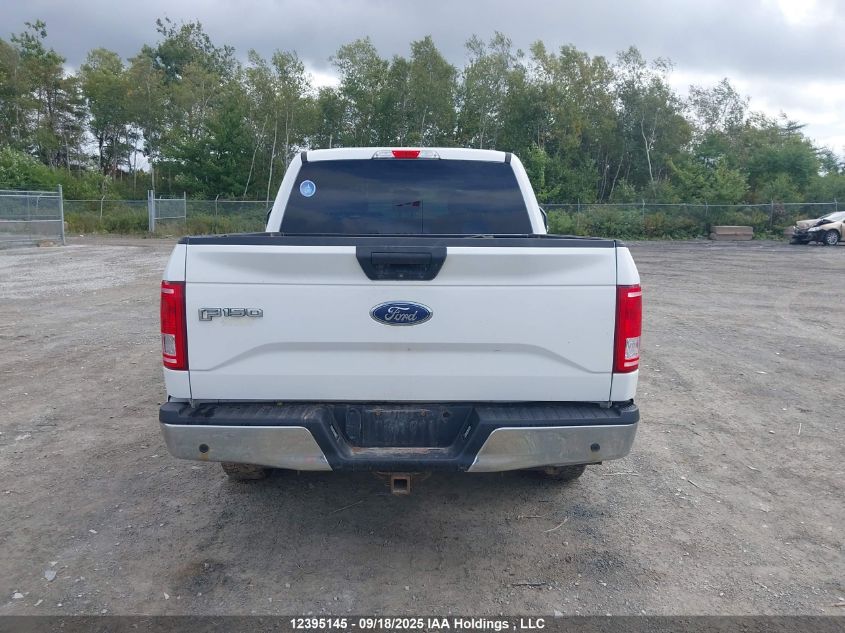 2017 Ford F-150 Xlt VIN: 1FTEW1EG3HFB55716 Lot: 12395145