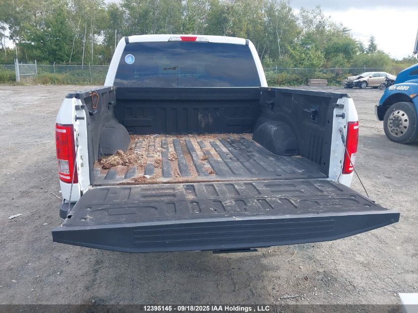 2017 Ford F-150 Xlt VIN: 1FTEW1EG3HFB55716 Lot: 12395145