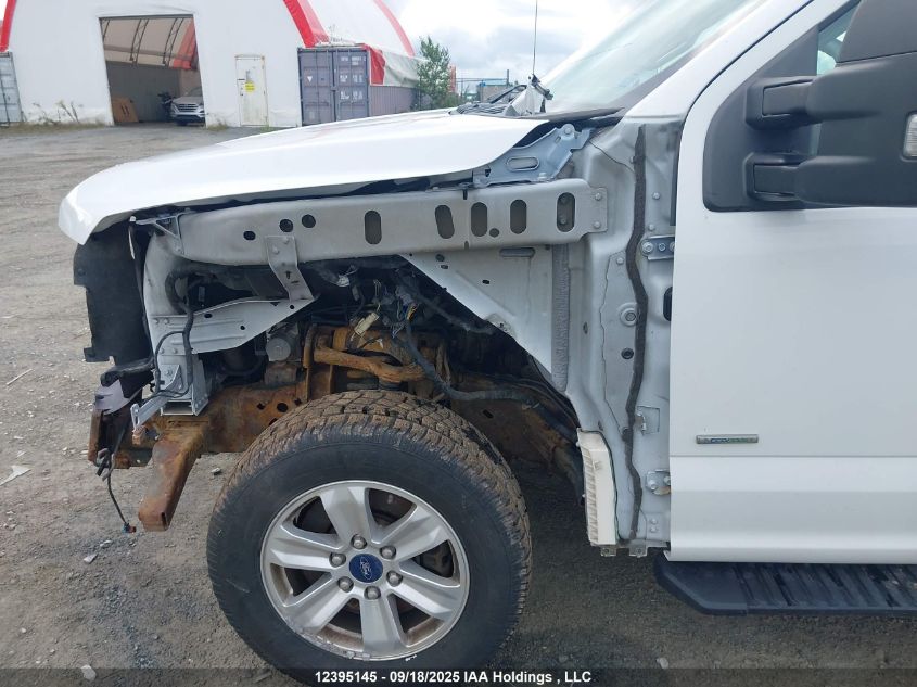 2017 Ford F-150 Xlt VIN: 1FTEW1EG3HFB55716 Lot: 12395145