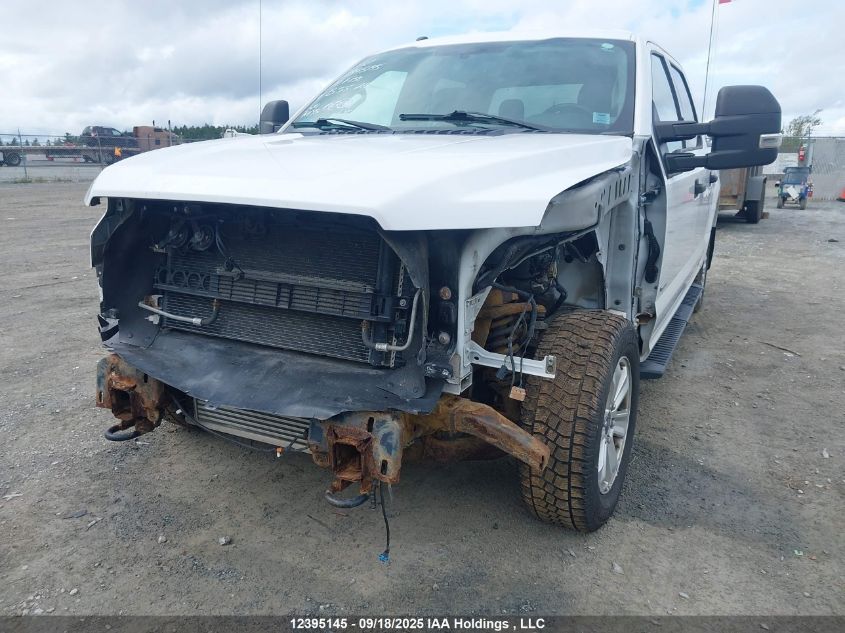 2017 Ford F-150 Xlt VIN: 1FTEW1EG3HFB55716 Lot: 12395145