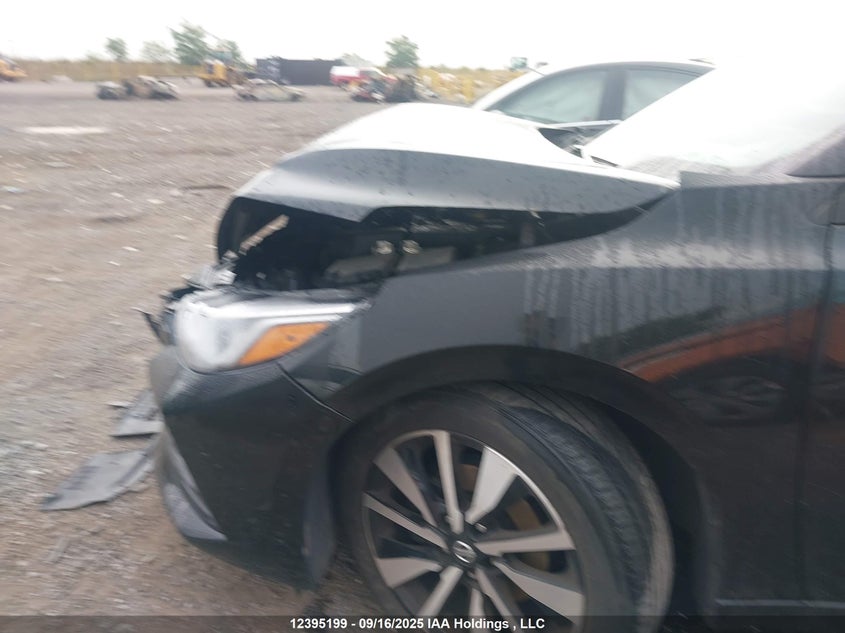 2023 Nissan Sentra VIN: 3N1AB8CV8PY282203 Lot: 12395199