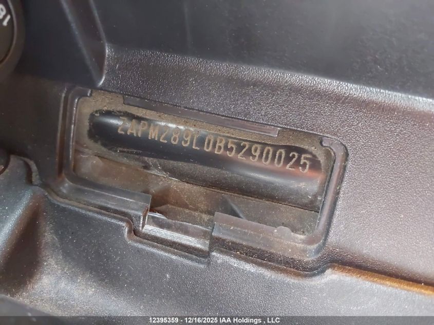 2012 Piaggio Bv 250 VIN: ZAPM289LXC5290101 Lot: 12395359