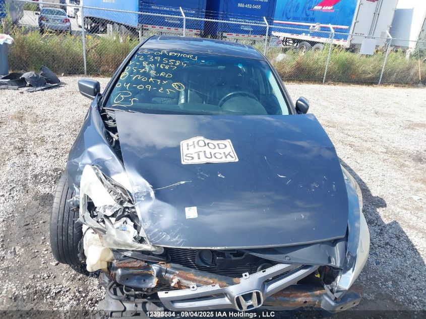 2005 Honda Accord Ex VIN: 1HGCM66555A801887 Lot: 12395584