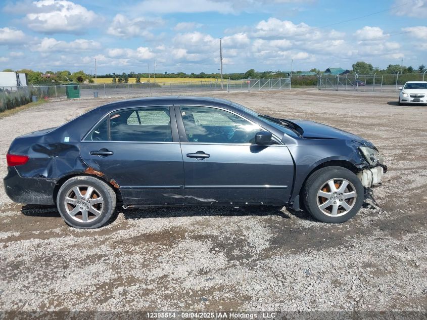 2005 Honda Accord Ex VIN: 1HGCM66555A801887 Lot: 12395584