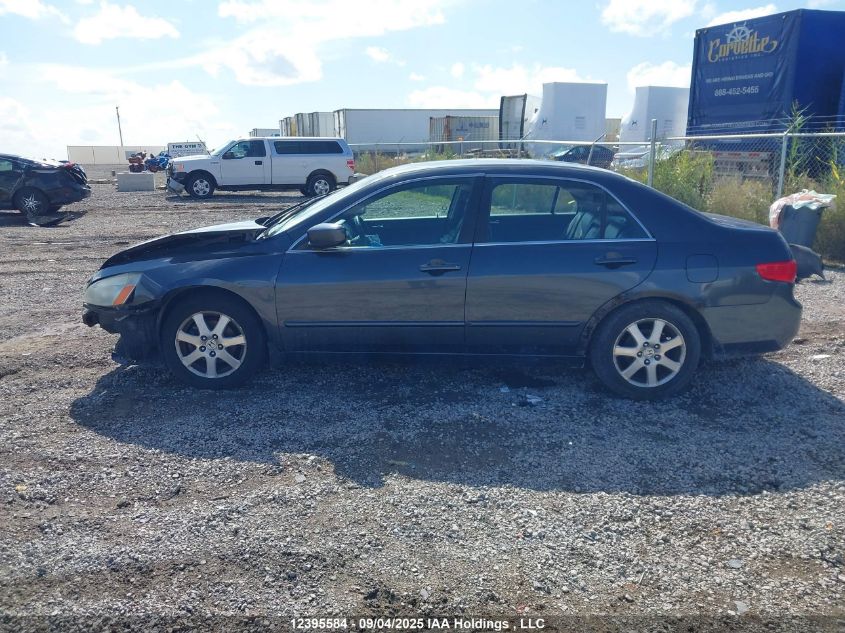 2005 Honda Accord Ex VIN: 1HGCM66555A801887 Lot: 12395584