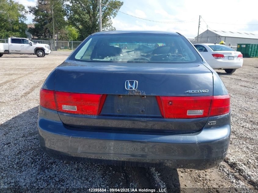 2005 Honda Accord Ex VIN: 1HGCM66555A801887 Lot: 12395584