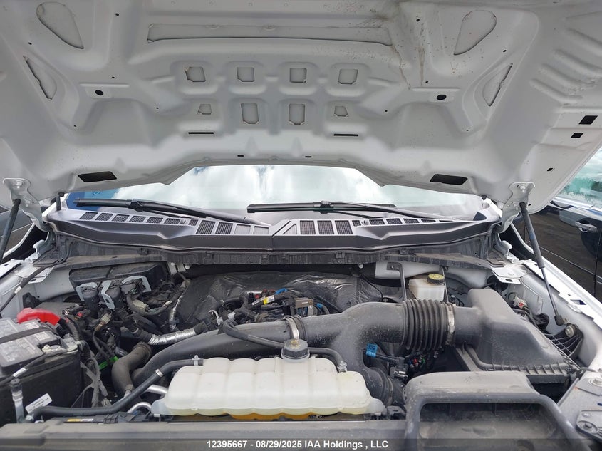 1FTEW2LPXRKF28428 2024 FORD F-150 photo no. 10