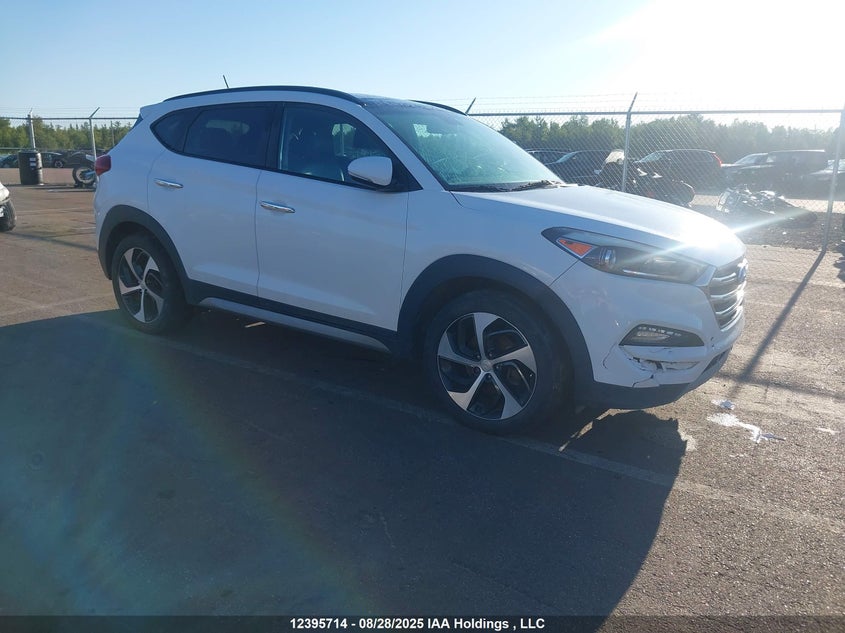 KM8J3CA24HU309905 2017 Hyundai Tucson Limited/Sport And Eco/Se auction photo 1