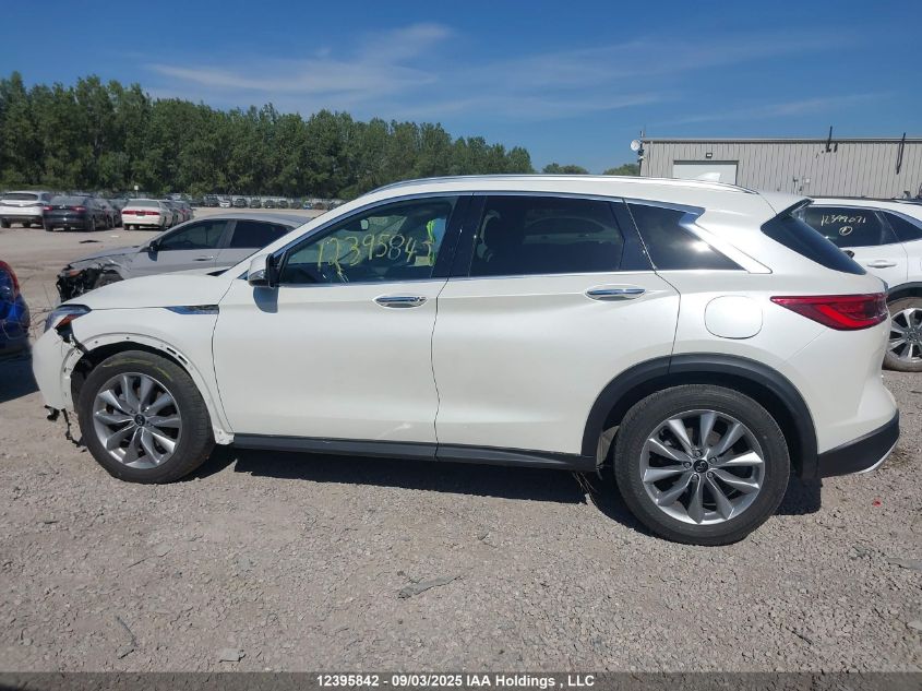 2021 Infiniti Qx50 Luxe/Luxe I-Line VIN: 3PCAJ5BB3MF118130 Lot: 12395842