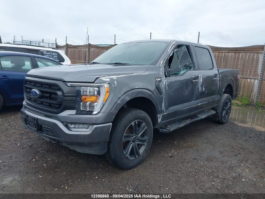 2022 Ford F150 Supercrew VIN: 1FTFW1E81NKF20331 Lot: 12395868