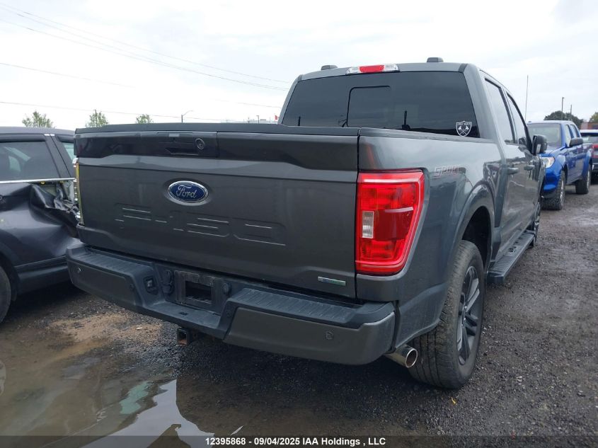 2022 Ford F150 Supercrew VIN: 1FTFW1E81NKF20331 Lot: 12395868