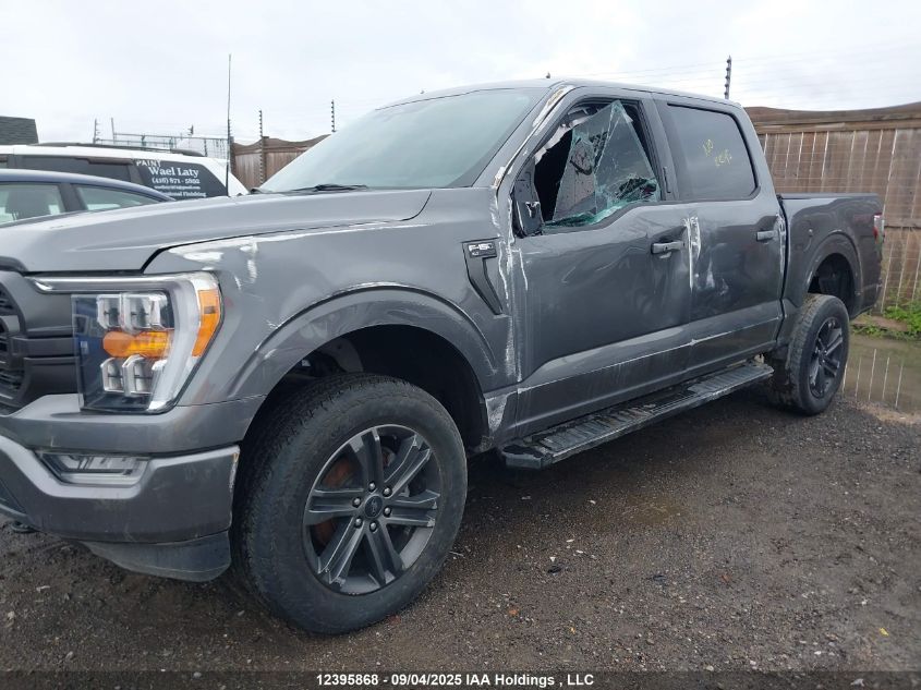 2022 Ford F150 Supercrew VIN: 1FTFW1E81NKF20331 Lot: 12395868