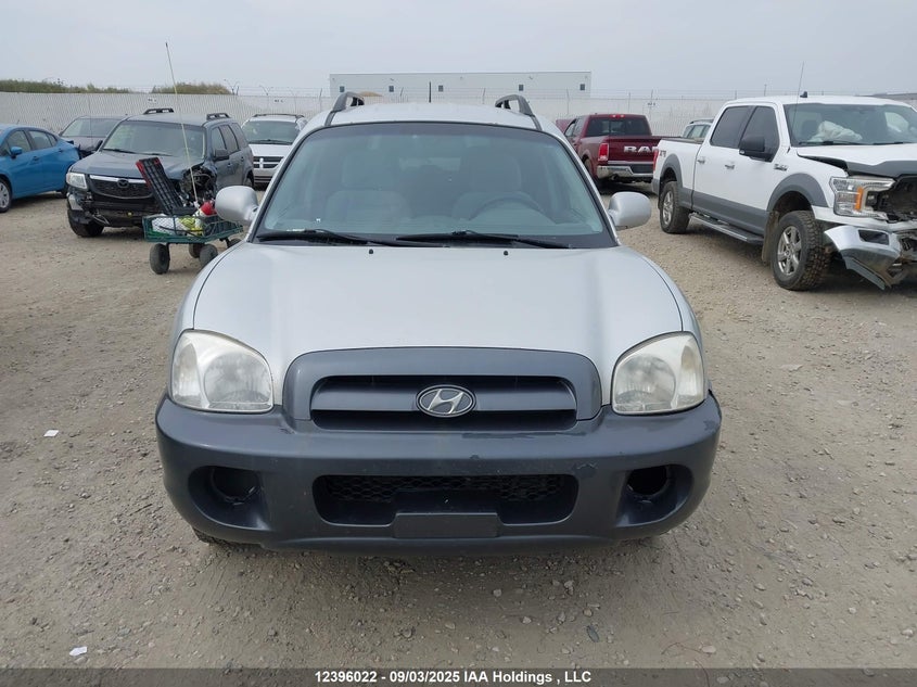KM8SB13D76U035980 2006 HYUNDAI SANTA FE photo no. 12