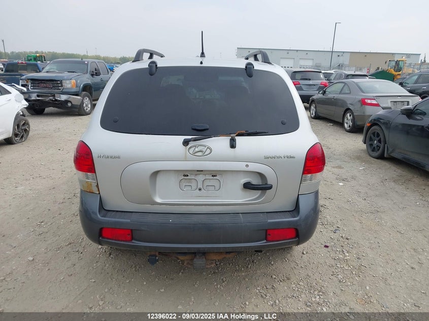 KM8SB13D76U035980 2006 HYUNDAI SANTA FE photo no. 16