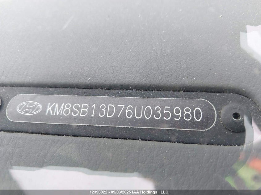 KM8SB13D76U035980 2006 HYUNDAI SANTA FE photo no. 18