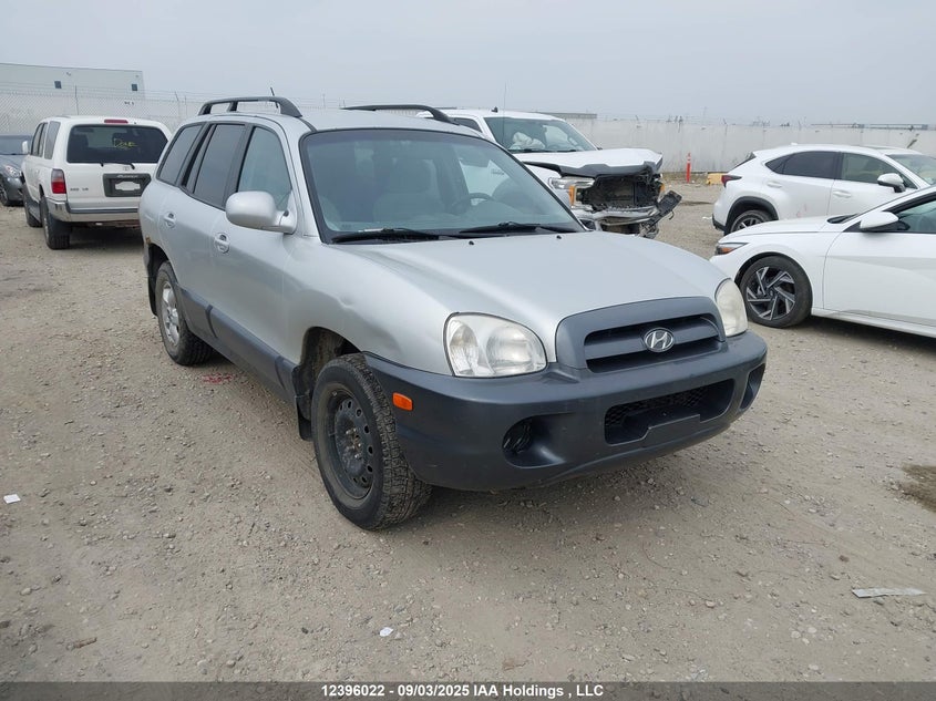 KM8SB13D76U035980 2006 HYUNDAI SANTA FE photo no. 12
