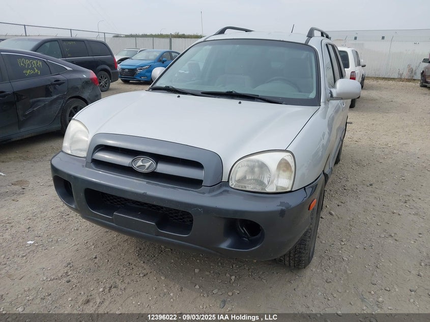 KM8SB13D76U035980 2006 HYUNDAI SANTA FE photo no. 6