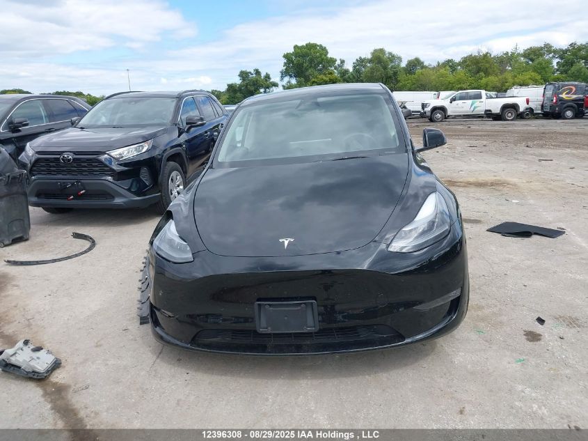 2025 Tesla Model Y VIN: 7SAYGDEE0SF317942 Lot: 12396308