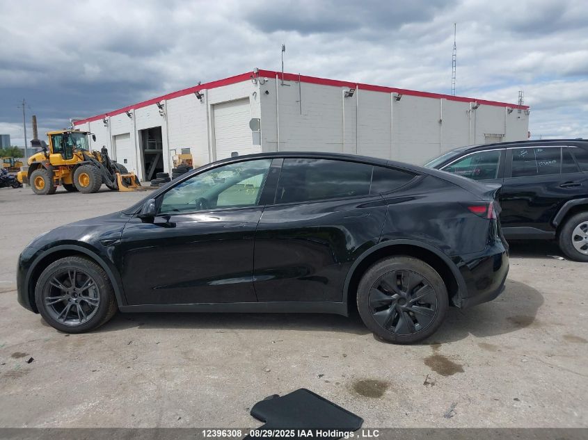 2025 Tesla Model Y VIN: 7SAYGDEE0SF317942 Lot: 12396308