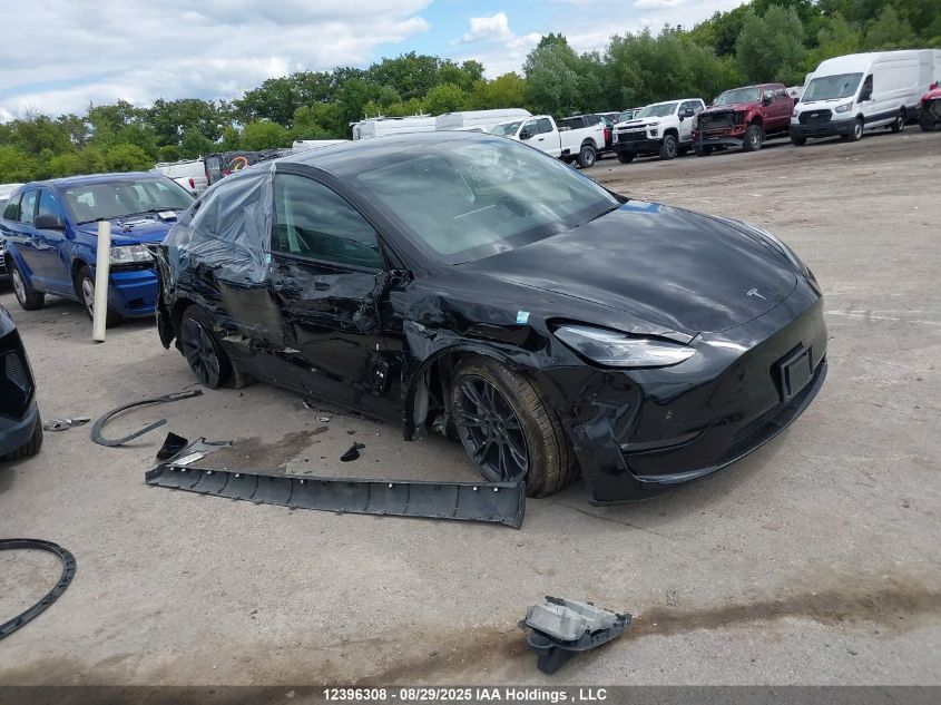 2025 Tesla Model Y VIN: 7SAYGDEE0SF317942 Lot: 12396308