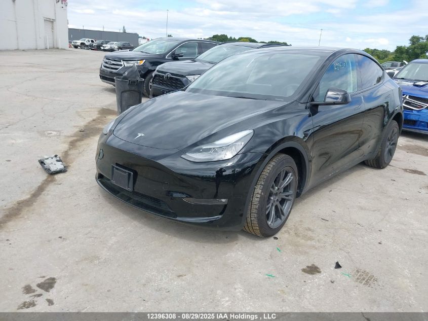 2025 Tesla Model Y VIN: 7SAYGDEE0SF317942 Lot: 12396308