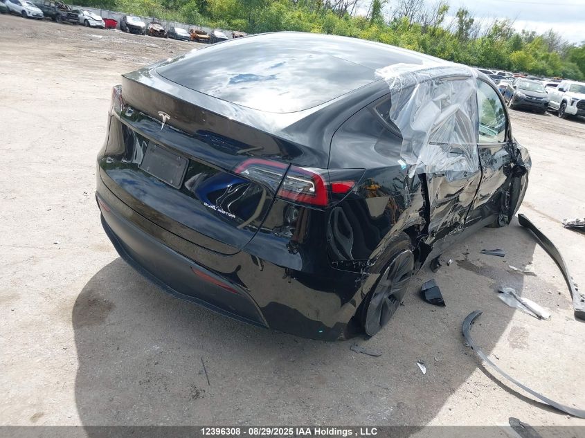 2025 Tesla Model Y VIN: 7SAYGDEE0SF317942 Lot: 12396308