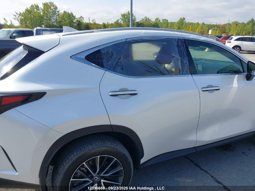 2025 Lexus Nx 350 Premium VIN: 2T2GGCEZ3SC080269 Lot: 12396686