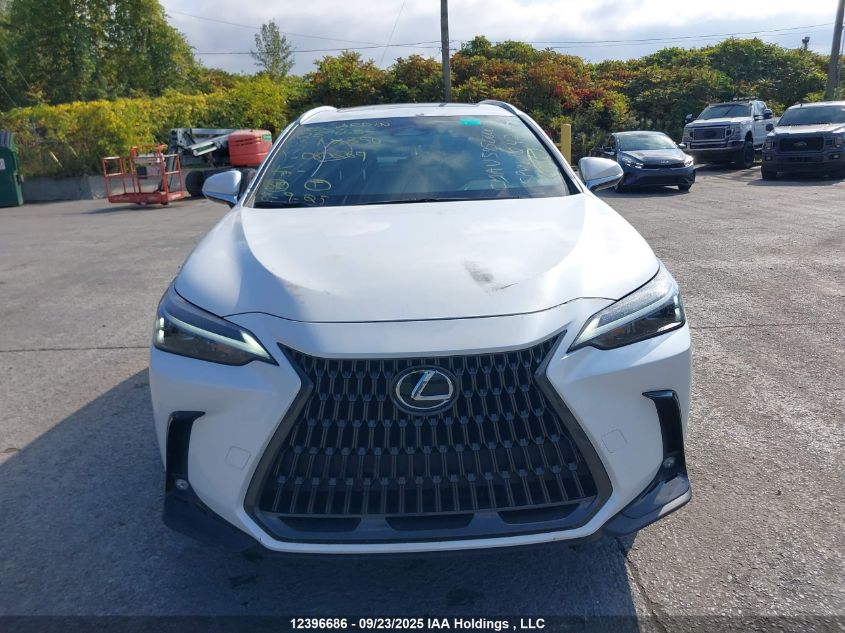 2025 Lexus Nx 350 Premium VIN: 2T2GGCEZ3SC080269 Lot: 12396686