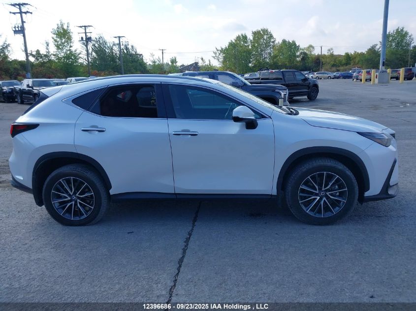 2025 Lexus Nx 350 Premium VIN: 2T2GGCEZ3SC080269 Lot: 12396686