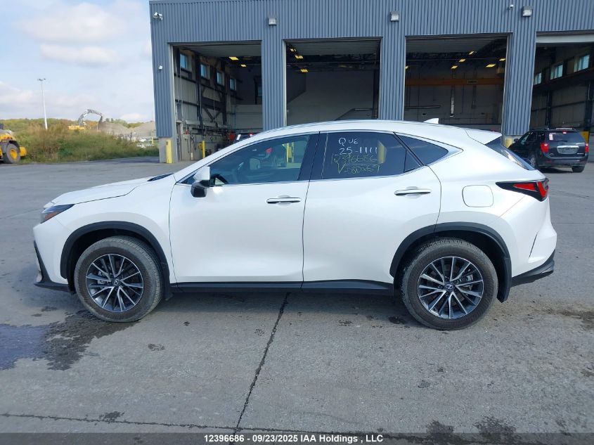 2025 Lexus Nx 350 Premium VIN: 2T2GGCEZ3SC080269 Lot: 12396686