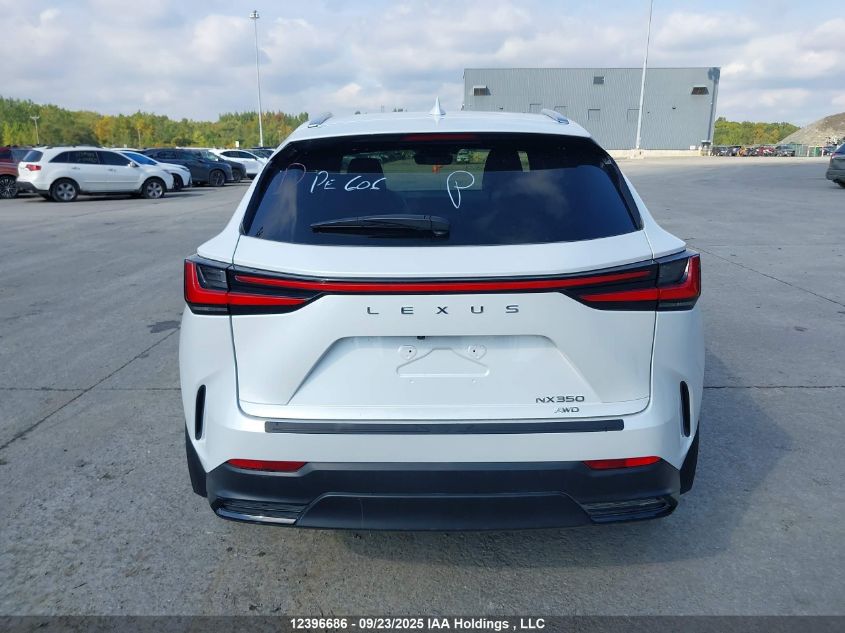 2025 Lexus Nx 350 Premium VIN: 2T2GGCEZ3SC080269 Lot: 12396686