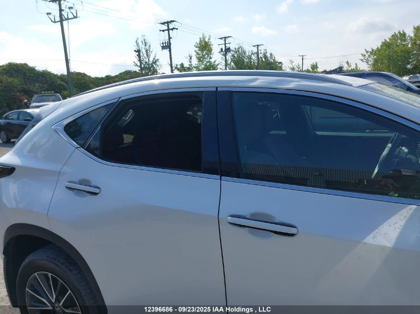 2025 Lexus Nx 350 Premium VIN: 2T2GGCEZ3SC080269 Lot: 12396686