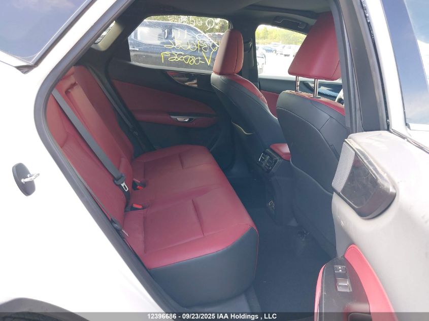 2025 Lexus Nx 350 Premium VIN: 2T2GGCEZ3SC080269 Lot: 12396686