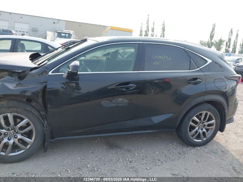 2019 Lexus Nx 300 VIN: JTJBARBZ4K2182795 Lot: 12396730