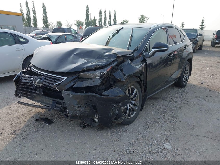 JTJBARBZ4K2182795 2019 LEXUS NX photo no. 2