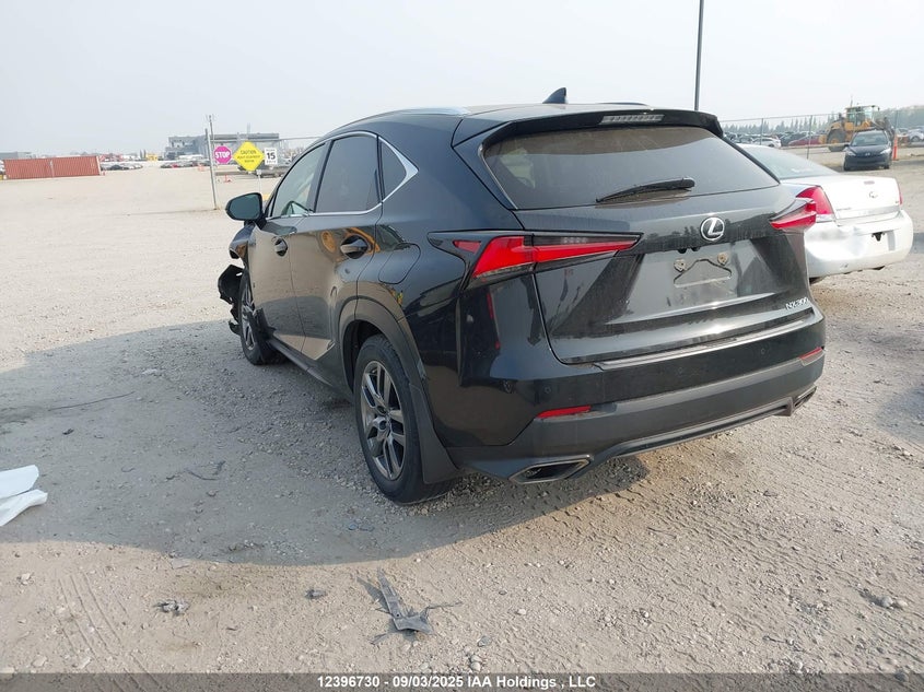 JTJBARBZ4K2182795 2019 LEXUS NX photo no. 3