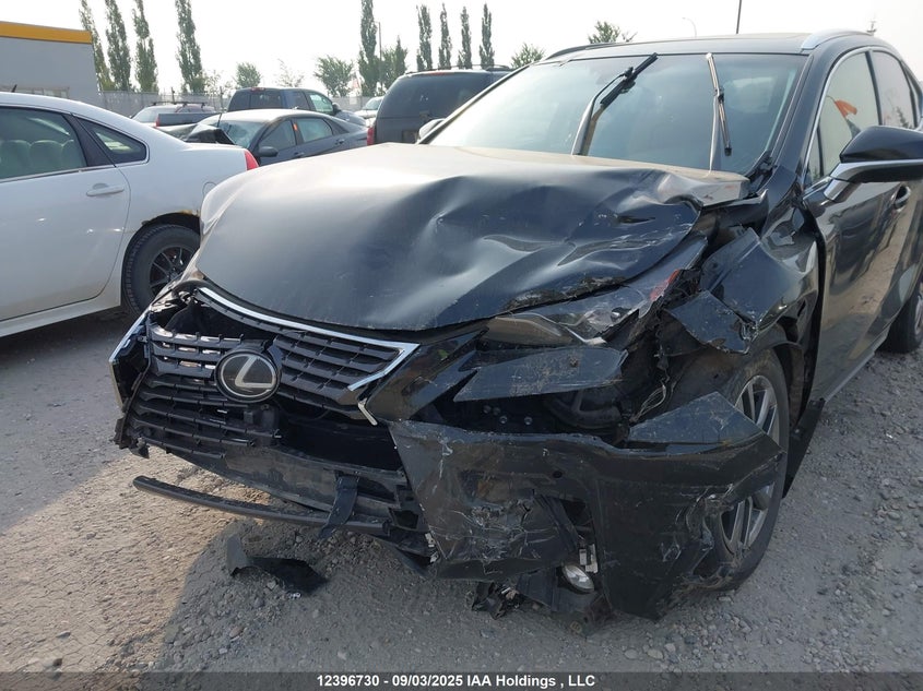 2019 Lexus Nx 300 VIN: JTJBARBZ4K2182795 Lot: 12396730