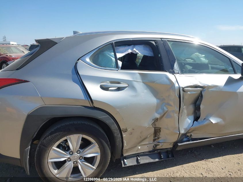 2019 Lexus Ux 200 VIN: JTHY3JBH9K2007666 Lot: 12396994