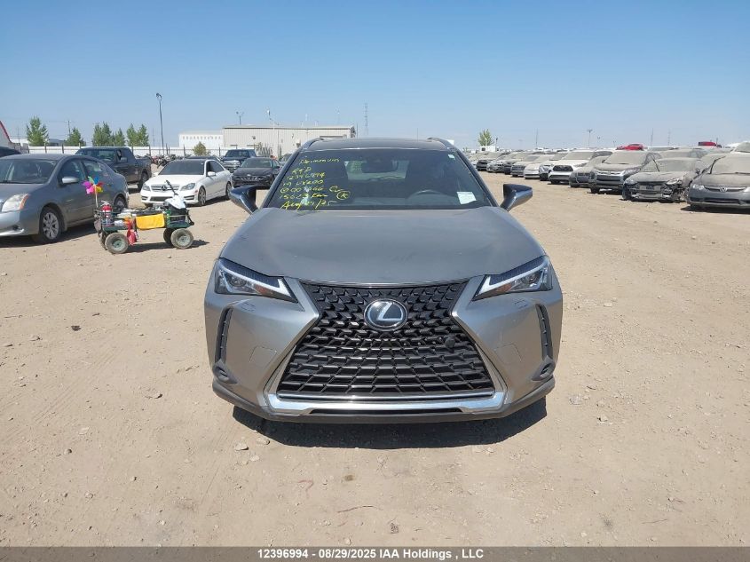 2019 Lexus Ux 200 VIN: JTHY3JBH9K2007666 Lot: 12396994