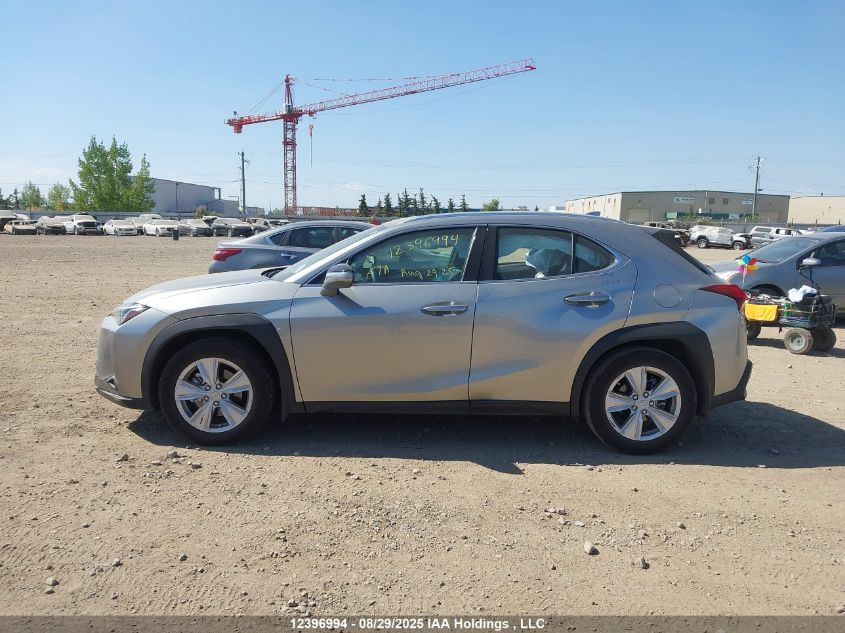 2019 Lexus Ux 200 VIN: JTHY3JBH9K2007666 Lot: 12396994