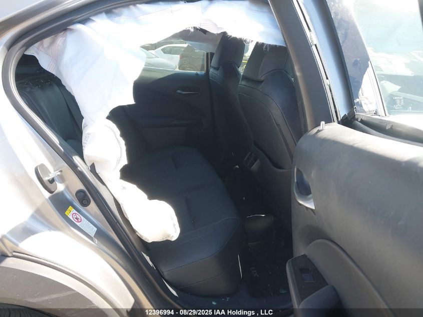 2019 Lexus Ux 200 VIN: JTHY3JBH9K2007666 Lot: 12396994