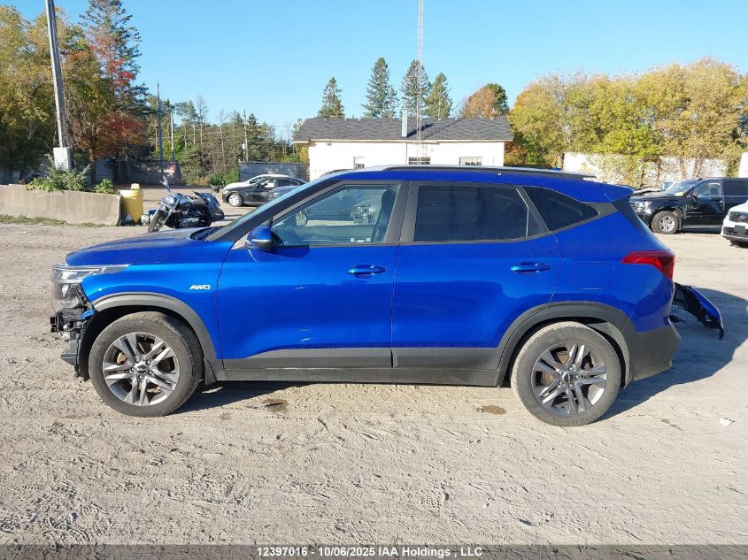 2023 Kia Seltos VIN: KNDEPCAA7P7389800 Lot: 12397016