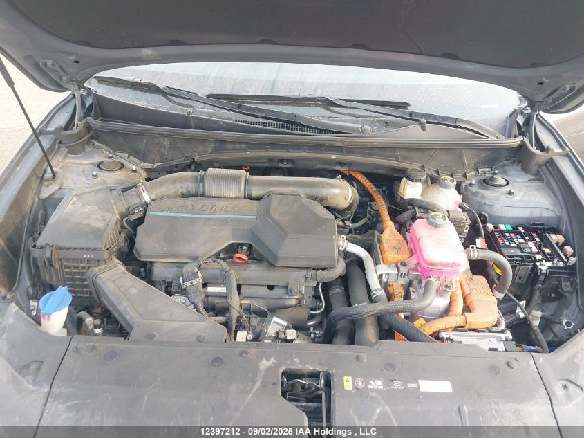 2024 Hyundai Tucson Luxury Awd VIN: KM8JCCD12RU232567 Lot: 12397212