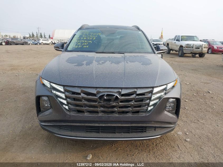 2024 Hyundai Tucson Luxury Awd VIN: KM8JCCD12RU232567 Lot: 12397212