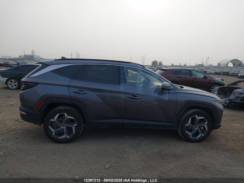 2024 Hyundai Tucson Luxury Awd VIN: KM8JCCD12RU232567 Lot: 12397212