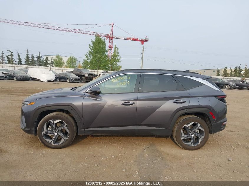 2024 Hyundai Tucson Luxury Awd VIN: KM8JCCD12RU232567 Lot: 12397212