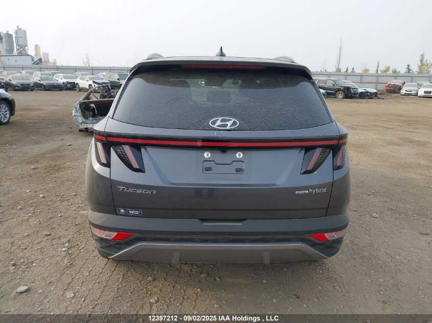 2024 Hyundai Tucson Luxury Awd VIN: KM8JCCD12RU232567 Lot: 12397212